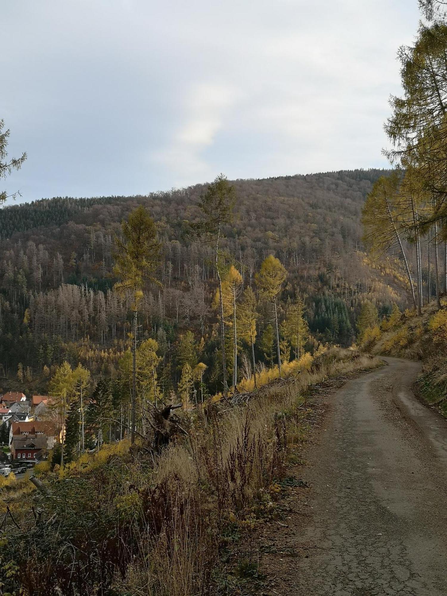 Haus Riesebeek Villa Лангелсхайм Екстериор снимка